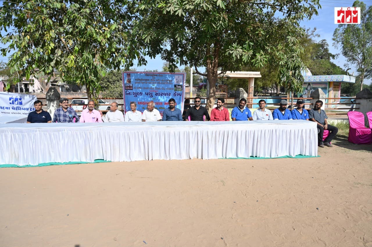 cattle-camp-1