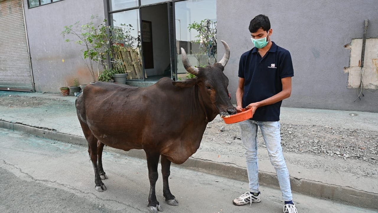 feeding_3
