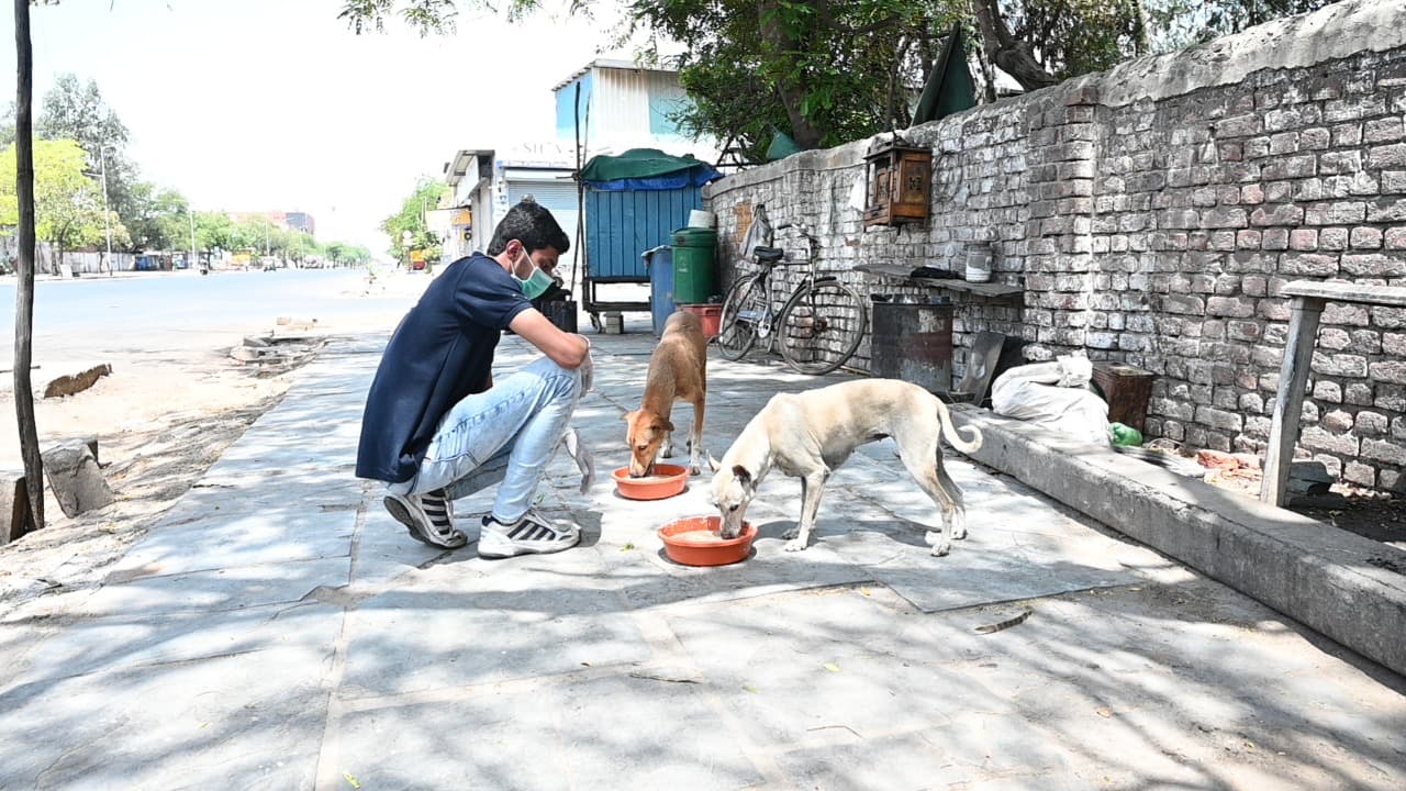 feeding_4