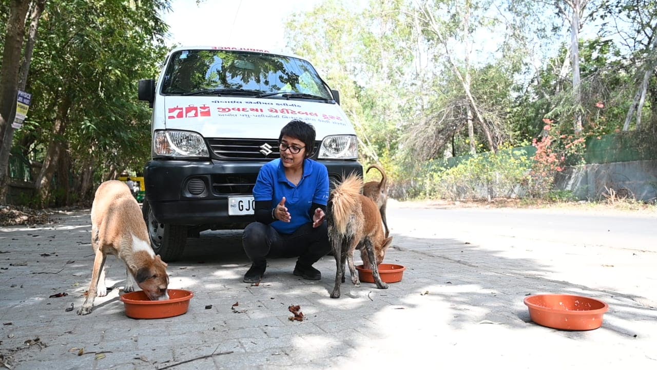 feeding_5
