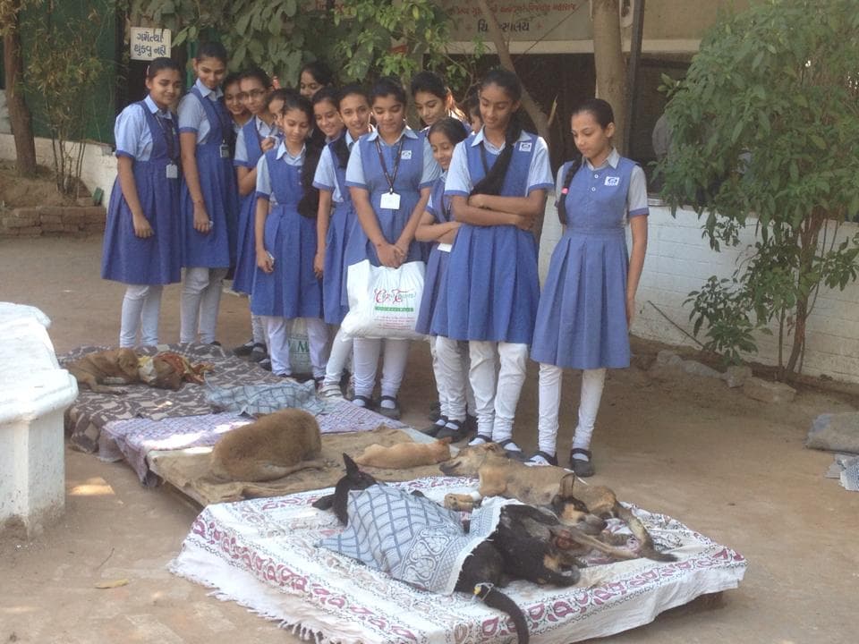 jivdaya-charitable-trust